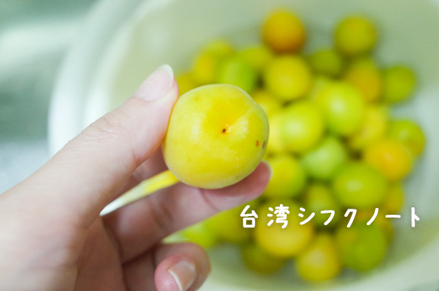 umeboshitukekomi03