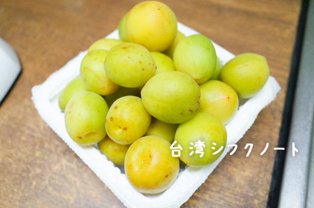 umeboshitukekomi05